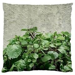 Plants Against Concrete Wall Background Standard Flano Cushion Case (One Side)