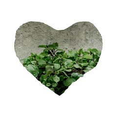 Plants Against Concrete Wall Background Standard 16  Premium Flano Heart Shape Cushions