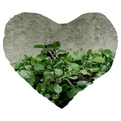 Plants Against Concrete Wall Background Large 19  Premium Flano Heart Shape Cushions