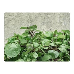 Plants Against Concrete Wall Background Double Sided Flano Blanket (Mini) 