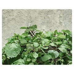 Plants Against Concrete Wall Background Double Sided Flano Blanket (Medium) 