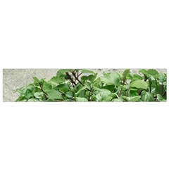 Plants Against Concrete Wall Background Flano Scarf (Small) 