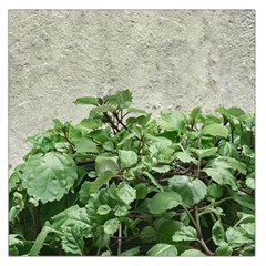 Plants Against Concrete Wall Background Large Satin Scarf (Square)