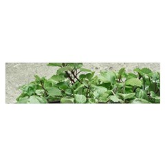 Plants Against Concrete Wall Background Satin Scarf (Oblong)