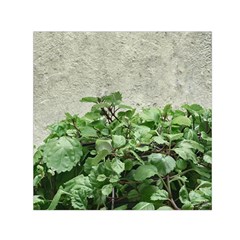 Plants Against Concrete Wall Background Small Satin Scarf (Square) 