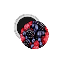 Forest Fruit 1 75  Magnets