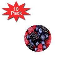 Forest Fruit 1  Mini Magnet (10 Pack) 