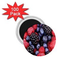 Forest Fruit 1 75  Magnets (100 Pack) 