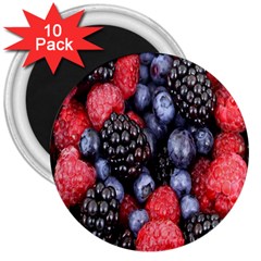 Forest Fruit 3  Magnets (10 Pack)  by Nexatart