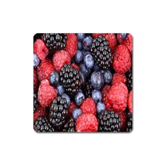 Forest Fruit Square Magnet by Nexatart