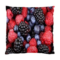 Forest Fruit Standard Cushion Case (one Side) by Nexatart