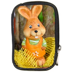 Easter Hare Easter Bunny Compact Camera Cases by Nexatart