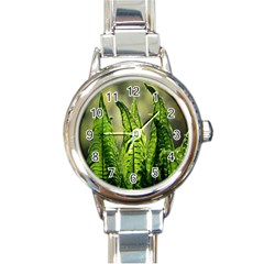 Fern Ferns Green Nature Foliage Round Italian Charm Watch by Nexatart