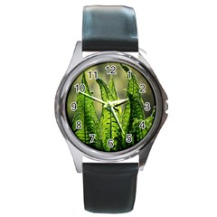 Fern Ferns Green Nature Foliage Round Metal Watch by Nexatart