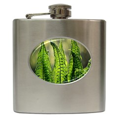 Fern Ferns Green Nature Foliage Hip Flask (6 Oz) by Nexatart