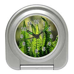 Fern Ferns Green Nature Foliage Travel Alarm Clocks by Nexatart