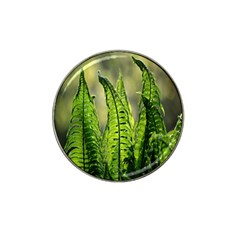 Fern Ferns Green Nature Foliage Hat Clip Ball Marker