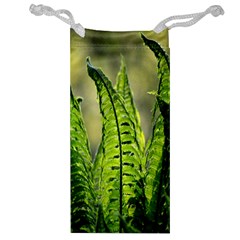 Fern Ferns Green Nature Foliage Jewelry Bag by Nexatart