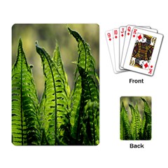 Fern Ferns Green Nature Foliage Playing Card by Nexatart