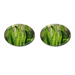 Fern Ferns Green Nature Foliage Cufflinks (oval) by Nexatart