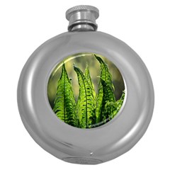 Fern Ferns Green Nature Foliage Round Hip Flask (5 Oz) by Nexatart