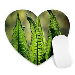 Fern Ferns Green Nature Foliage Heart Mousepads by Nexatart