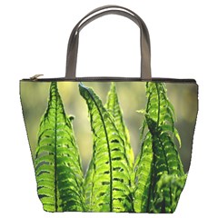 Fern Ferns Green Nature Foliage Bucket Bags by Nexatart