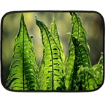 Fern Ferns Green Nature Foliage Fleece Blanket (Mini) 35 x27  Blanket