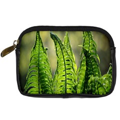 Fern Ferns Green Nature Foliage Digital Camera Cases