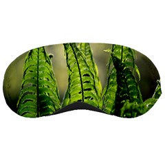 Fern Ferns Green Nature Foliage Sleeping Masks