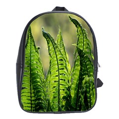 Fern Ferns Green Nature Foliage School Bags(large) 