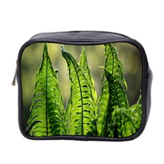 Fern Ferns Green Nature Foliage Mini Toiletries Bag 2-side