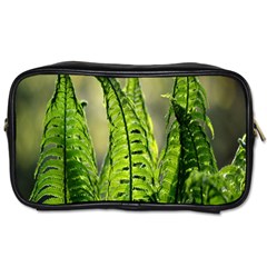 Fern Ferns Green Nature Foliage Toiletries Bags by Nexatart