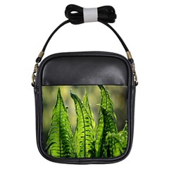 Fern Ferns Green Nature Foliage Girls Sling Bags by Nexatart