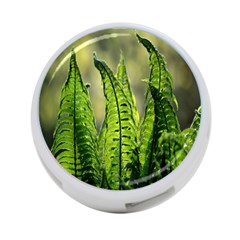 Fern Ferns Green Nature Foliage 4-port Usb Hub (two Sides) 