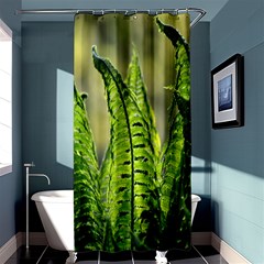 Fern Ferns Green Nature Foliage Shower Curtain 36  X 72  (stall)  by Nexatart