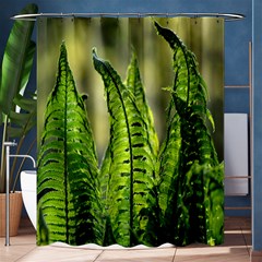 Fern Ferns Green Nature Foliage Shower Curtain 60  X 72  (medium)  by Nexatart