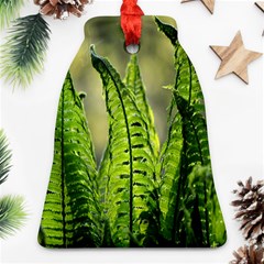 Fern Ferns Green Nature Foliage Ornament (bell) by Nexatart