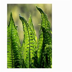 Fern Ferns Green Nature Foliage Small Garden Flag (two Sides) by Nexatart