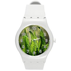 Fern Ferns Green Nature Foliage Round Plastic Sport Watch (m) by Nexatart