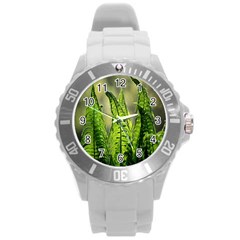 Fern Ferns Green Nature Foliage Round Plastic Sport Watch (l) by Nexatart