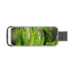 Fern Ferns Green Nature Foliage Portable Usb Flash (one Side) by Nexatart