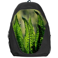 Fern Ferns Green Nature Foliage Backpack Bag