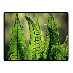 Fern Ferns Green Nature Foliage Double Sided Fleece Blanket (small) 