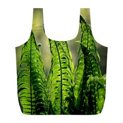 Fern Ferns Green Nature Foliage Full Print Recycle Bags (l)  by Nexatart