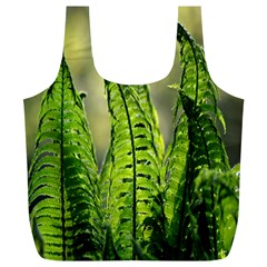 Fern Ferns Green Nature Foliage Full Print Recycle Bags (l)  by Nexatart