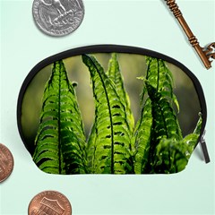 Fern Ferns Green Nature Foliage Accessory Pouches (large)  by Nexatart