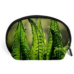 Fern Ferns Green Nature Foliage Accessory Pouches (Large)  Front