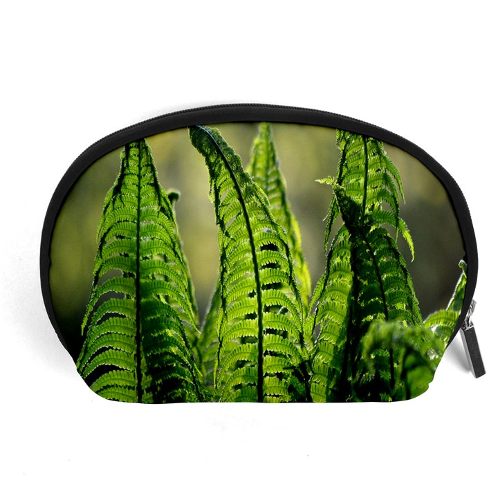 Fern Ferns Green Nature Foliage Accessory Pouches (Large) 