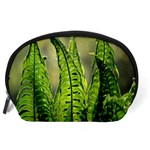 Fern Ferns Green Nature Foliage Accessory Pouches (Large)  Back